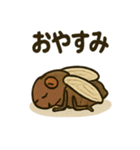 いろんなセミの日常スタンプ（個別スタンプ：9）