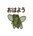 いろんなセミの日常スタンプ（個別スタンプ：10）