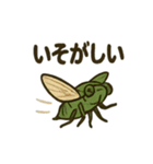 いろんなセミの日常スタンプ（個別スタンプ：11）