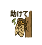 いろんなセミの日常スタンプ（個別スタンプ：12）
