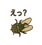 いろんなセミの日常スタンプ（個別スタンプ：13）