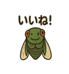 いろんなセミの日常スタンプ（個別スタンプ：15）