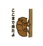 いろんなセミの日常スタンプ（個別スタンプ：16）