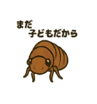 いろんなセミの日常スタンプ（個別スタンプ：17）