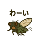 いろんなセミの日常スタンプ（個別スタンプ：19）