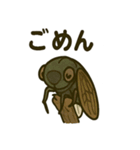 いろんなセミの日常スタンプ（個別スタンプ：20）