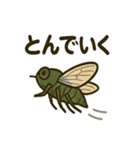 いろんなセミの日常スタンプ（個別スタンプ：23）
