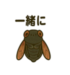 いろんなセミの日常スタンプ（個別スタンプ：24）