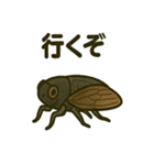 いろんなセミの日常スタンプ（個別スタンプ：27）