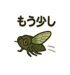 いろんなセミの日常スタンプ（個別スタンプ：29）