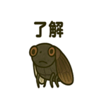 いろんなセミの日常スタンプ（個別スタンプ：31）