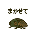 いろんなセミの日常スタンプ（個別スタンプ：34）