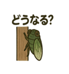 いろんなセミの日常スタンプ（個別スタンプ：35）