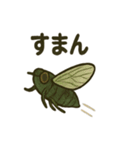 いろんなセミの日常スタンプ（個別スタンプ：36）
