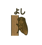 いろんなセミの日常スタンプ（個別スタンプ：38）