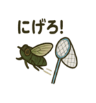 いろんなセミの日常スタンプ（個別スタンプ：39）