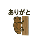 いろんなセミの日常スタンプ（個別スタンプ：40）