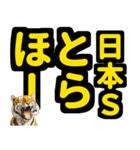 大阪神戸の野球好き虎ファン向け6シンプル（個別スタンプ：13）