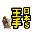 大阪神戸の野球好き虎ファン向け6シンプル（個別スタンプ：15）