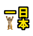 大阪神戸の野球好き虎ファン向け6シンプル（個別スタンプ：16）