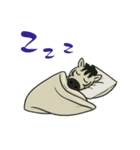 クールシマウマ（個別スタンプ：22）