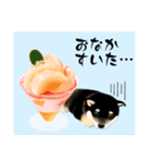 日常使えるスタンプ第2弾（個別スタンプ：3）