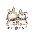 むぎときなこ まとめ③（個別スタンプ：40）