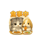 猫の種類いろいろ日常会話  51（個別スタンプ：3）