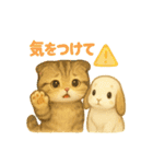 猫の種類いろいろ日常会話  51（個別スタンプ：11）