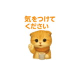 猫の種類いろいろ日常会話  51（個別スタンプ：17）