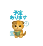 猫の種類いろいろ日常会話  51（個別スタンプ：21）