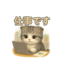 猫の種類いろいろ日常会話  51（個別スタンプ：24）