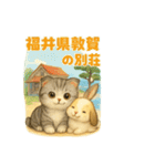 猫の種類いろいろ日常会話  51（個別スタンプ：25）