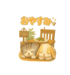 猫の種類いろいろ日常会話  51（個別スタンプ：35）