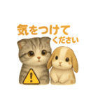 猫の種類いろいろ日常会話  51（個別スタンプ：38）