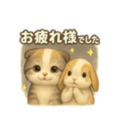 猫の種類いろいろ日常会話  51（個別スタンプ：40）