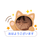 さなの日常11（個別スタンプ：2）