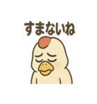 強面ニワトリさんの声かけスタンプ（個別スタンプ：21）