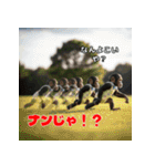チンパンジーのキュートな仲間たち（個別スタンプ：10）