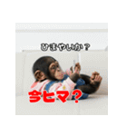 チンパンジーのキュートな仲間たち（個別スタンプ：37）