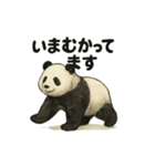 ちょいリアルなパンダの日常（個別スタンプ：21）