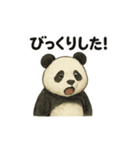 ちょいリアルなパンダの日常（個別スタンプ：25）