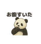 ちょいリアルなパンダの日常（個別スタンプ：31）