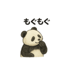 ちょいリアルなパンダの日常（個別スタンプ：34）