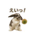 うさンプ:mochi（秋・ハロウィン）（個別スタンプ：1）