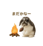 うさンプ:mochi（秋・ハロウィン）（個別スタンプ：4）