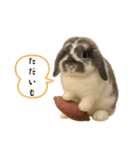 うさンプ:mochi（秋・ハロウィン）（個別スタンプ：6）