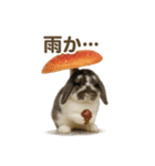 うさンプ:mochi（秋・ハロウィン）（個別スタンプ：7）