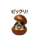 うさンプ:mochi（秋・ハロウィン）（個別スタンプ：10）