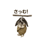 うさンプ:mochi（秋・ハロウィン）（個別スタンプ：11）